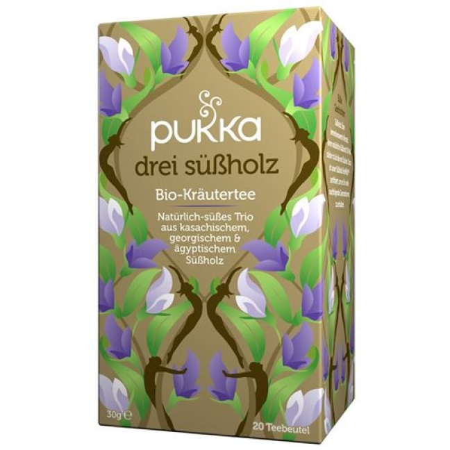 PUKKA DREI SSSHOLZ TEE BIO