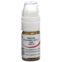 Omida Rhus Tox шарики D 12  4г