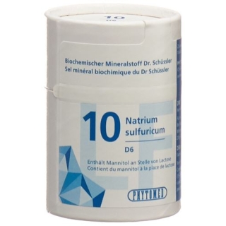 Phytomed Schüssler Nr. 10 Tabletten D 6 Lactosefrei 2000 Stück