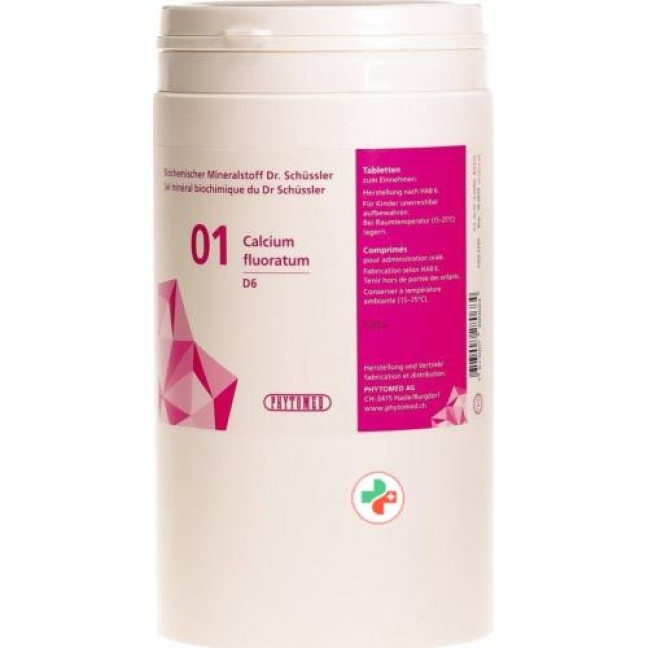 Phytomed Schussler Nr. 1 Calc Fluor в таблетках, D 6 1кг Phytomed Schussler Nr. 1 Calc Fluor в таблетках, D 6 1кг