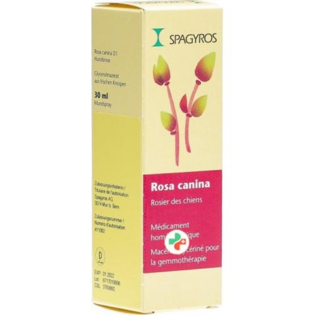 Spagyros Gemmo Rosa Canina Glyc Maz D 1 30мл Spagyros Gemmo Rosa Canina Glyc Maz D 1 30мл