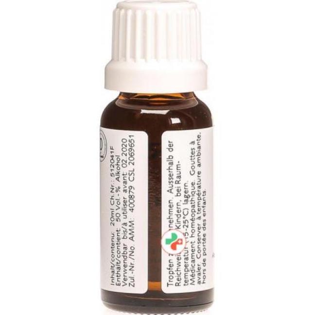 Ceres Cimicifuga D 2 Dilution 20мл Ceres Cimicifuga D 2 Dilution 20мл