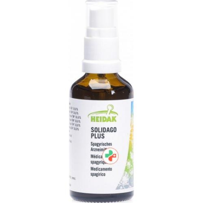 Heidak Spagyrik Solidago Plus спрей 50мл Heidak Spagyrik Solidago Plus спрей 50мл