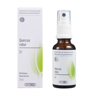 PHYTOMED GEMMO Quercus robur liq D 1
