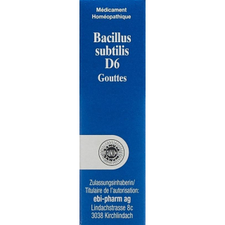 Sanum Bacillus Subtilis Tropfen D 6 (neu) Flasche 5ml