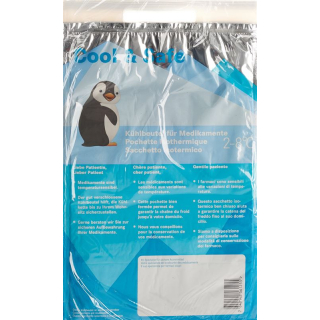 COOL & SAFE cooling bag 10 pcs