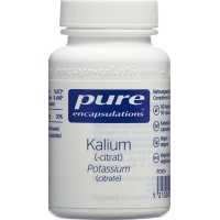 Pure Kalium Kapseln Neu Dose 90 Stück