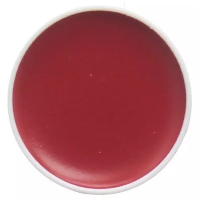 CARNEVAL AQUA SCHMINKP REF ROT