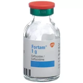 FORTAM TROCKENSUB 1G