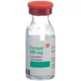 FORTAM TROCKENSUB 500MG