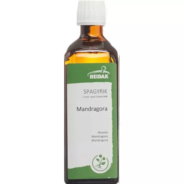 SPAGYRIK MANDRAG OFFICINARUM