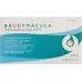 BRUDYMACULA