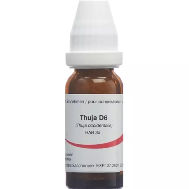 OMIDA THUJA 6D OMIDA THUJA 6D