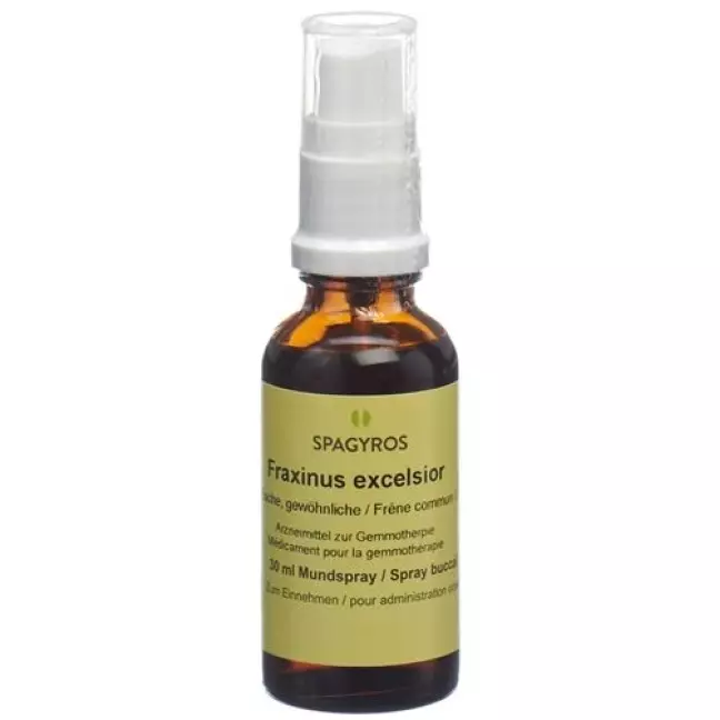 Spagyros Gemmo Fraxinus Excel Glyc Maz D 1 30мл