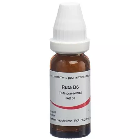OMIDA RUTA 6D