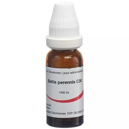 OMIDA BELLIS PERENNIS GLOB