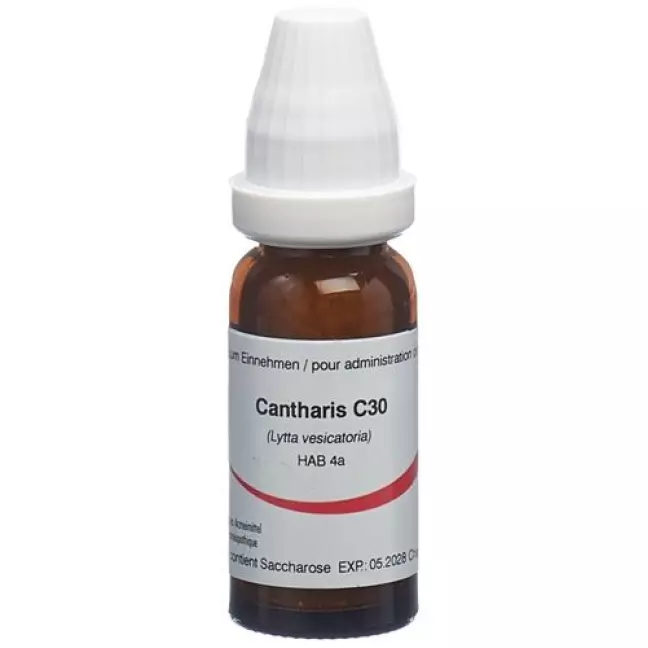 OMIDA CANTHARIS C30