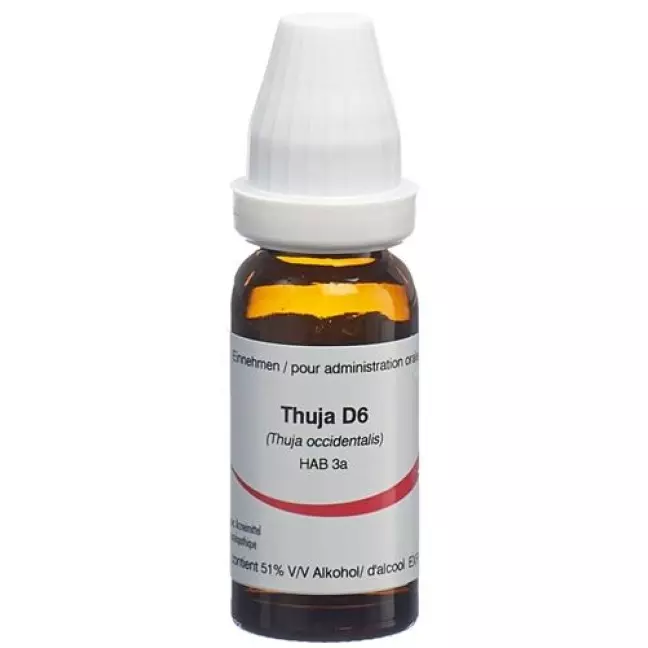 OMIDA THUJA 6D OMIDA THUJA 6D