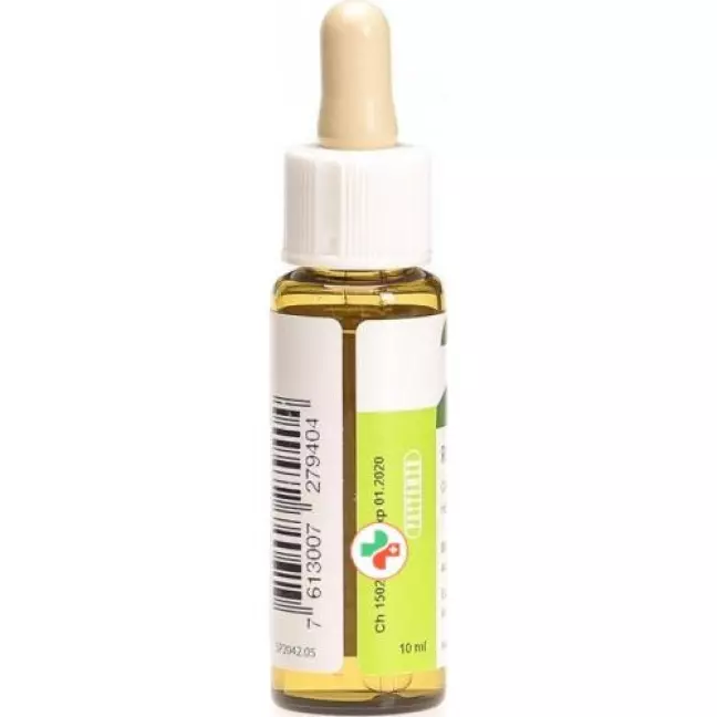 Phytomed Bachbluten No26 Gelb Sonnenroes бутылка 10мл Phytomed Bachbluten No26 Gelb Sonnenroes бутылка 10мл
