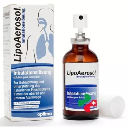 Lipoaerosol раствор для ингаляций бутылка 45мл Lipoaerosol раствор для ингаляций бутылка 45мл