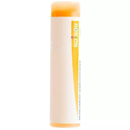 Boiron Arnica Montana шарики C 15 1 доза Boiron Arnica Montana шарики C 15 1 доза