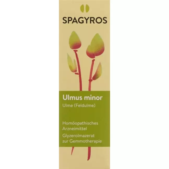 SPAGYROS GEMMO Ulmus minor Glyc Maz D 1