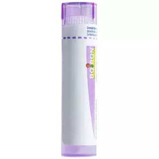 Boiron Radium Bromatum Granulat C 30 4g