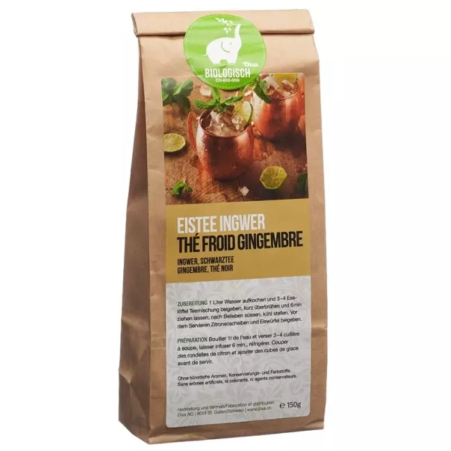 Dixa Eistee Bio Ingwer 150g