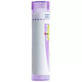 Boiron Radium Bromatum Granulat C 30 4g