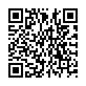 QR Веледа Апис Меллифика шарики D 30 4 г