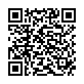 QR Herba Chignionnetze Grau 3 штуки