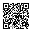 QR LOPATOL LACK 500MG AD US VET