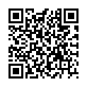 QR PHYTO BETULA P. MFT M MINER