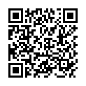 QR CYTOBRUSH HOLZSPATEL M0005