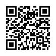 QR Spagyrik Olibanum 500мл