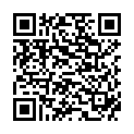 QR Spagyrik Pelargonium Sidoides 500мл