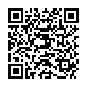 QR METTLER SCHAEUMEND REINIGUNG