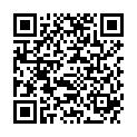 QR MYLIFE SOFTLANCE LANZETTENGERT