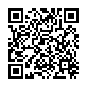 QR PHYTODOR FARBBROSCHUERE SCHWEI