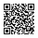 QR RAEDIBUZ FLECKENMITTEL