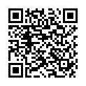 QR PHA NierenActiv fur Katzen капли бутылка 30мл