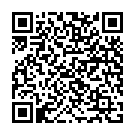 QR Китал Биксель раствор для промывки инструментов стерильный 2 X 4 литра