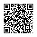 QR Замок HOLLISTER CONF 2 Ileo 45 мм, 30 сумок