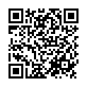 QR Mepilex Border Flex Oval 15x19cm 5 Stück