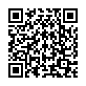 QR PHYTOMED SCHÜSSLER Nr11 Silicea Dil D 12 500 мл