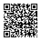 QR Активная поддержка EpiTrain Gr6 титан