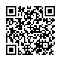 QR Phytomed Olibanum Mft Tabletten M Minerals 100 Stück