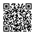 QR Peha-soft Nitrile Guard S 100 Stück