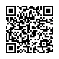 QR Starwax Glanzpflege 2in1 Parkett Flasche 1L