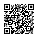 QR Phytomed Spagyr Equisetum Arvense Tropfen 30ml